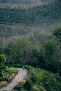 BIB: 
                            <button type="button" onclick="openModal(21900267)" class="btn btn-primary btn-sm float-right btn-popup" data-toggle="modal" data-target=".modal-high-quality">
                        <i class="fas fa-shopping-cart"></i> Add to Cart
                    </button>
                                            <button type="button" onclick="isThisMe(21900267, true)" class="btn btn-success btn-sm float-right btn-popup btn-isme hidden" data-toggle="tooltip" data-placement="bottom" title="นี่คือรูปของคุณใช่ไหม คลิกที่นี่เพื่อเอาเข้าอัลบั้ม">
                        <i class="fas fa-plus"></i> Add to album
                    </button>
                    <button type="button" onclick="isThisMe(21900267, false)" class="btn btn-warning btn-sm float-right btn-popup btn-isnotme hidden">
                        <i class="fas fa-ban"></i> Remove from album
                    </button>